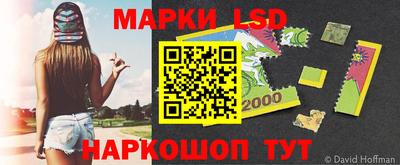 крисы Гатчина