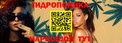 крисы Гатчина