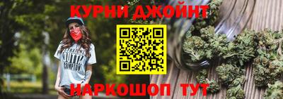крисы Гатчина