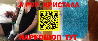 крисы Гатчина