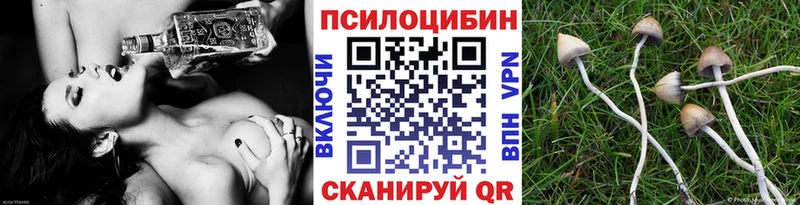 Галлюциногенные грибы ЛСД  купить  цена  darknet Telegram  Рассказово 