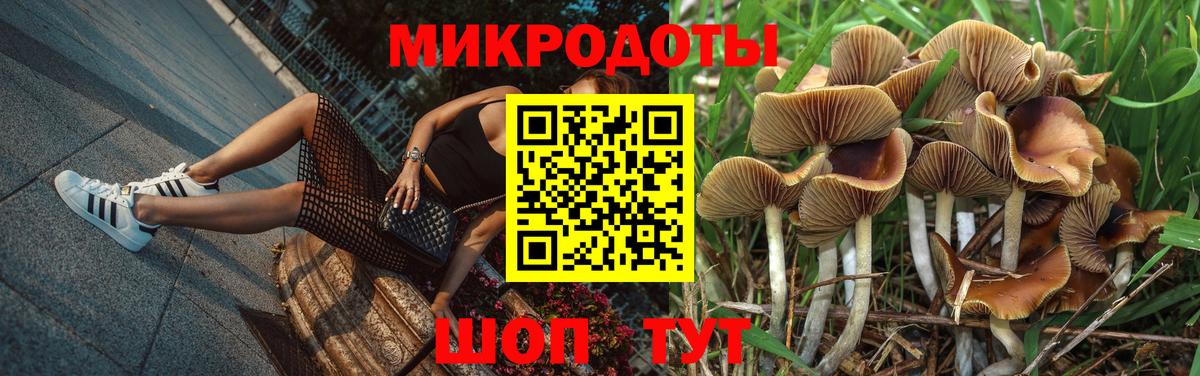 Галлюциногенные грибы мицелий Рассказово