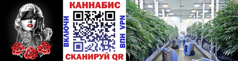 купить наркотики цена Рассказово Каннабис MAZAR